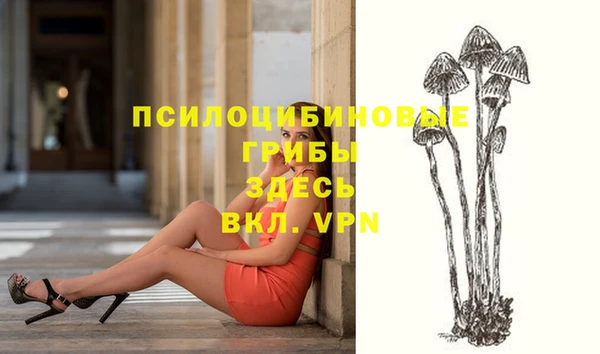ГАЛЛЮЦИНОГЕННЫЕ ГРИБЫ Касимов
