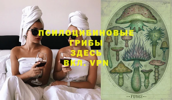 дживик Карпинск