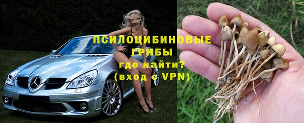 дживик Карпинск