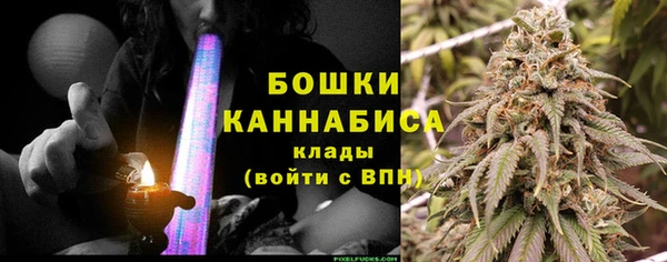 ГАЛЛЮЦИНОГЕННЫЕ ГРИБЫ Касимов