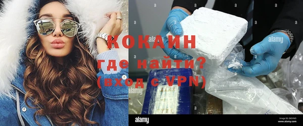 дживик Карпинск