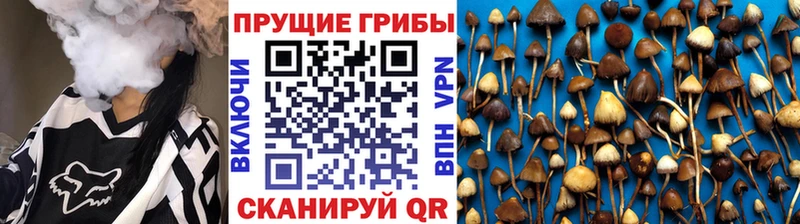 Купить  Воскресенск  Галлюциногенные грибы мухоморы 